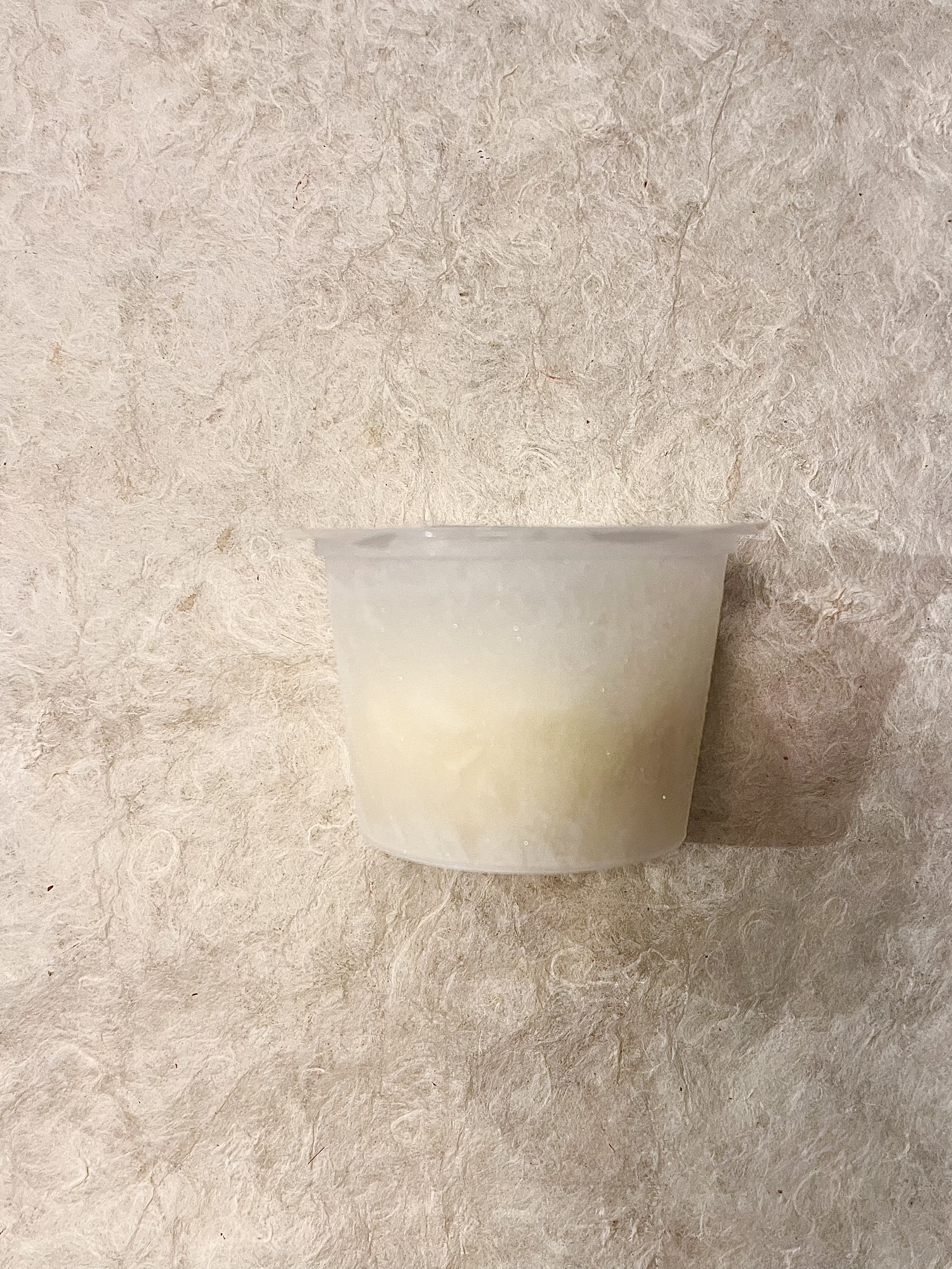 【冷凍】ｶｻﾞｰﾛ/ﾌﾞﾗｯﾃｨｰﾅ【特価】