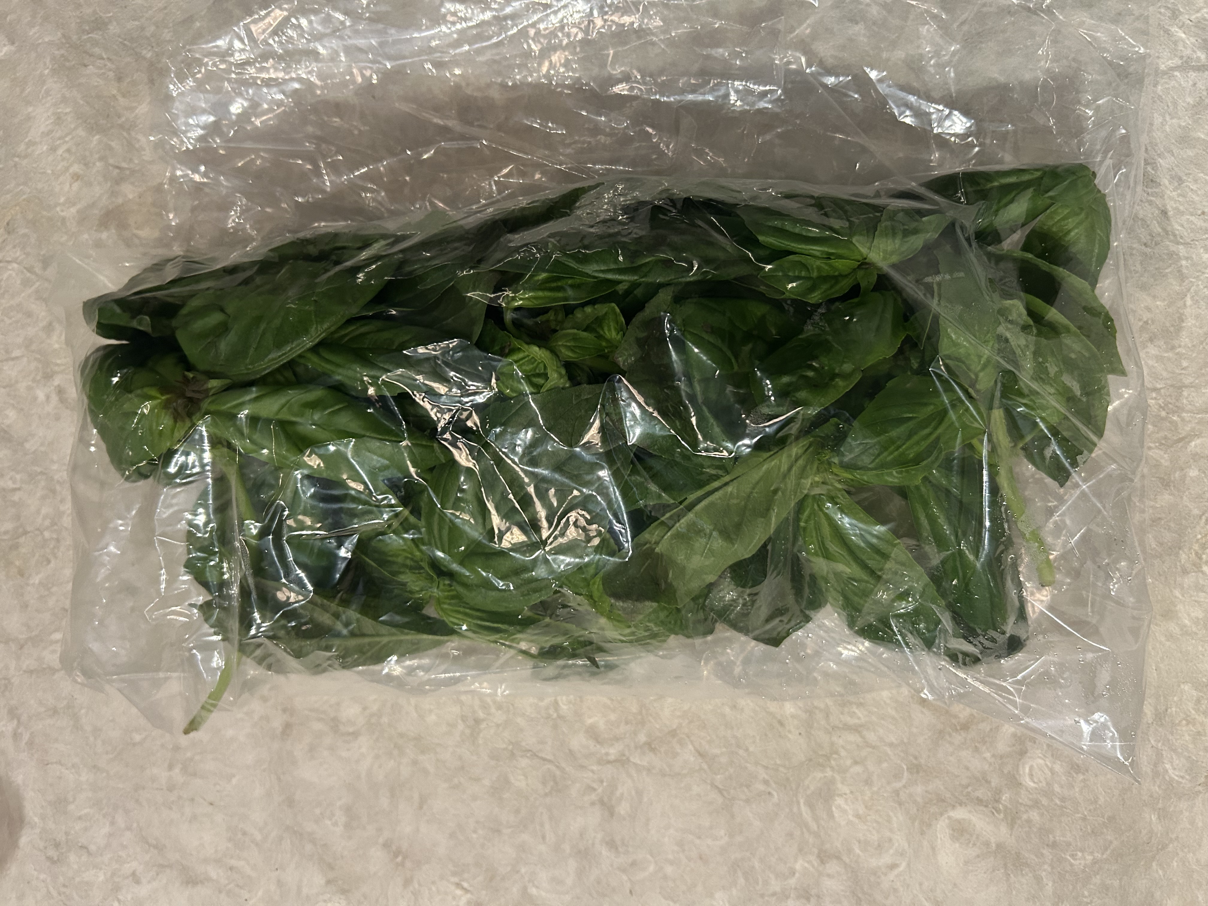 【冷蔵】国産ﾊﾞｼﾞﾙB品