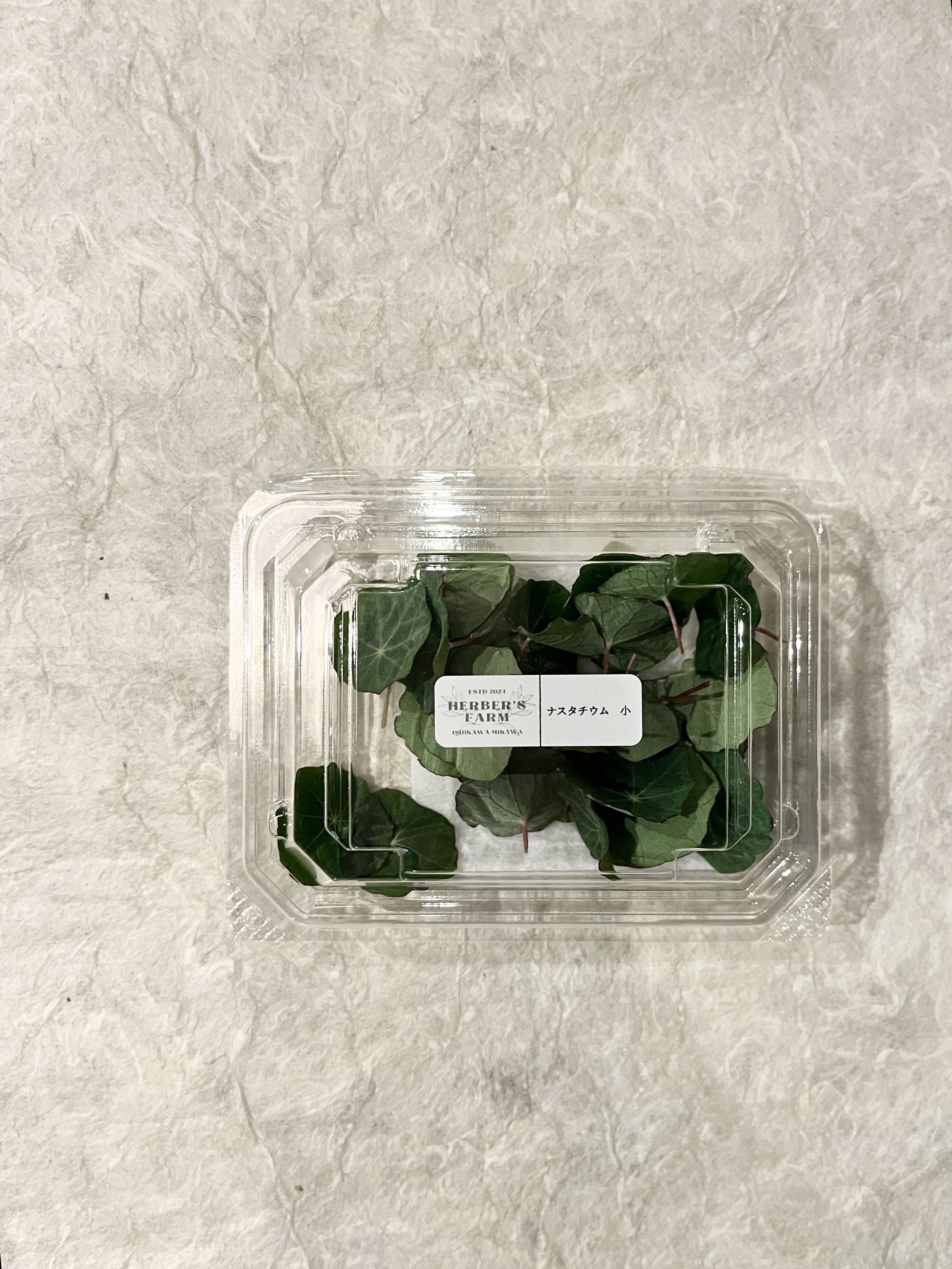 【冷蔵】HERBERSFARM/ﾅｽﾀﾁｳﾑ(小) <予約品>