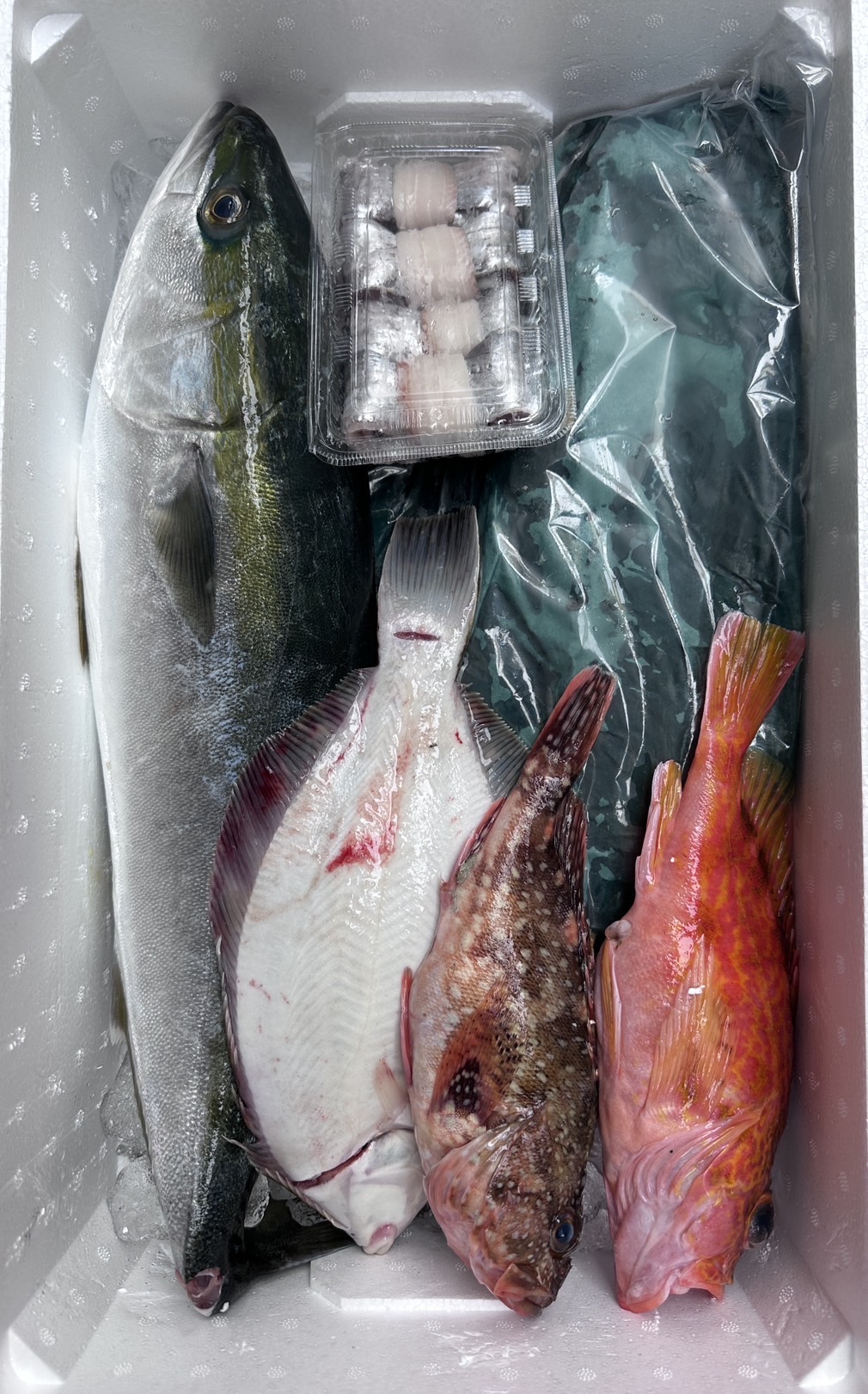 【冷蔵】北魚･山口さんｾﾚｸﾄ 鮮魚ｾｯﾄ 匠