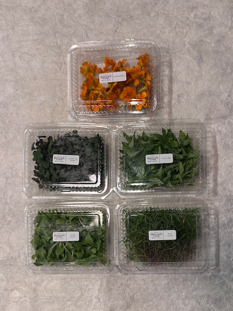 【冷蔵】HERBERSFARM/お試し5種ｾｯﾄ【限定】