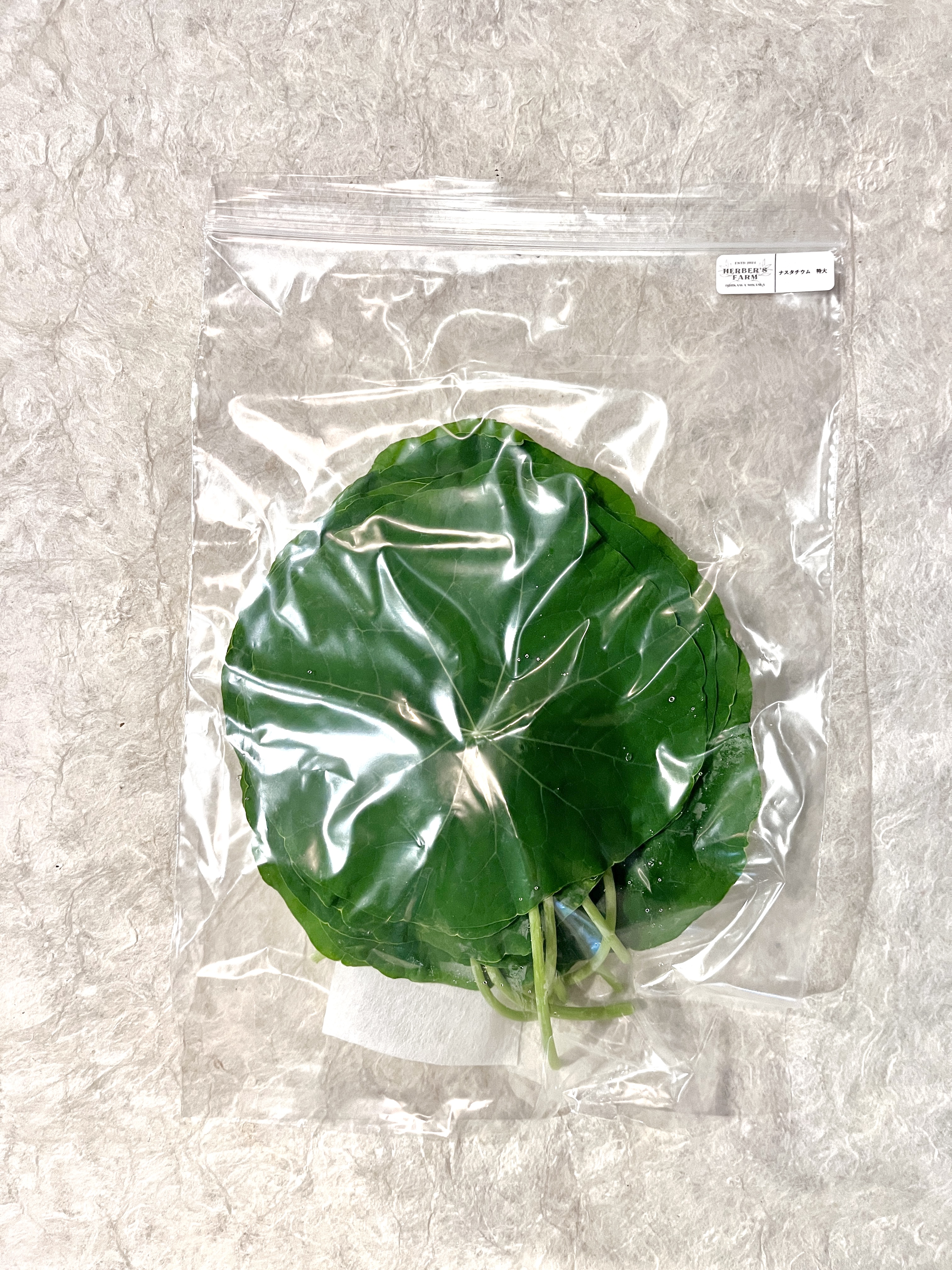 【冷蔵】HERBERSFARM/ﾅｽﾀﾁｳﾑ(特大) <予約品>