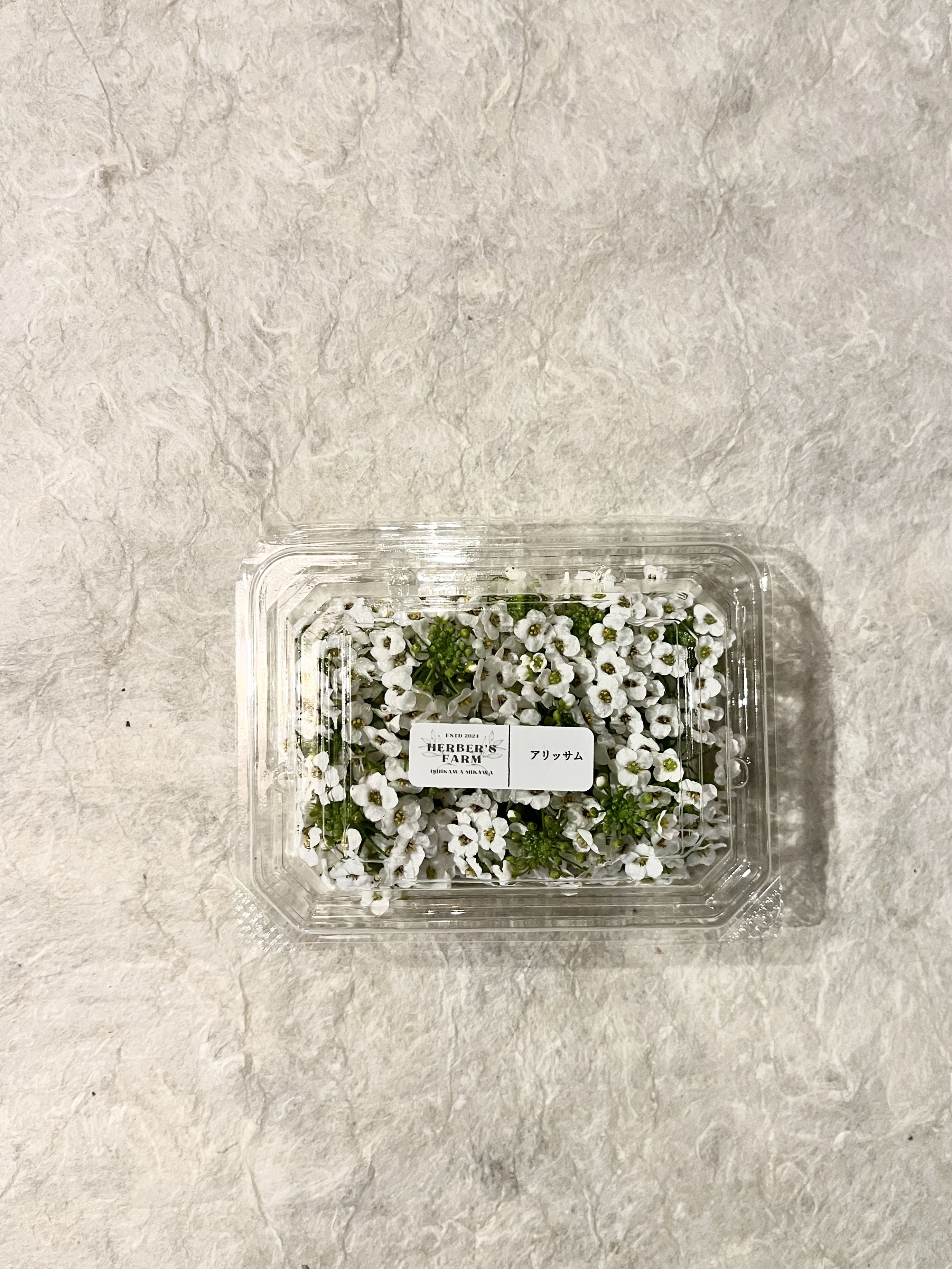 【冷蔵】HERBERSFARM/ｱﾘｯｻﾑ(白色系) <予約品>