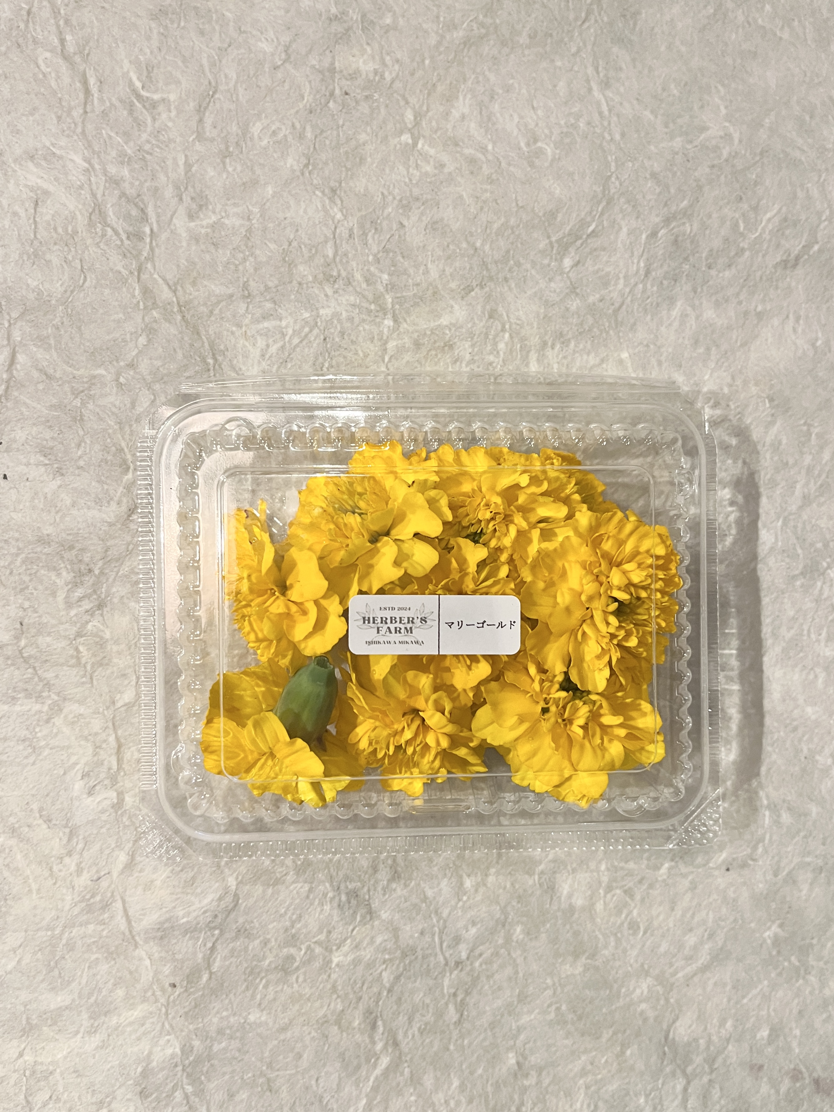 【冷蔵】HERBERSFARM/ﾏﾘｰｺﾞｰﾙﾄﾞ(黄色) <予約品>