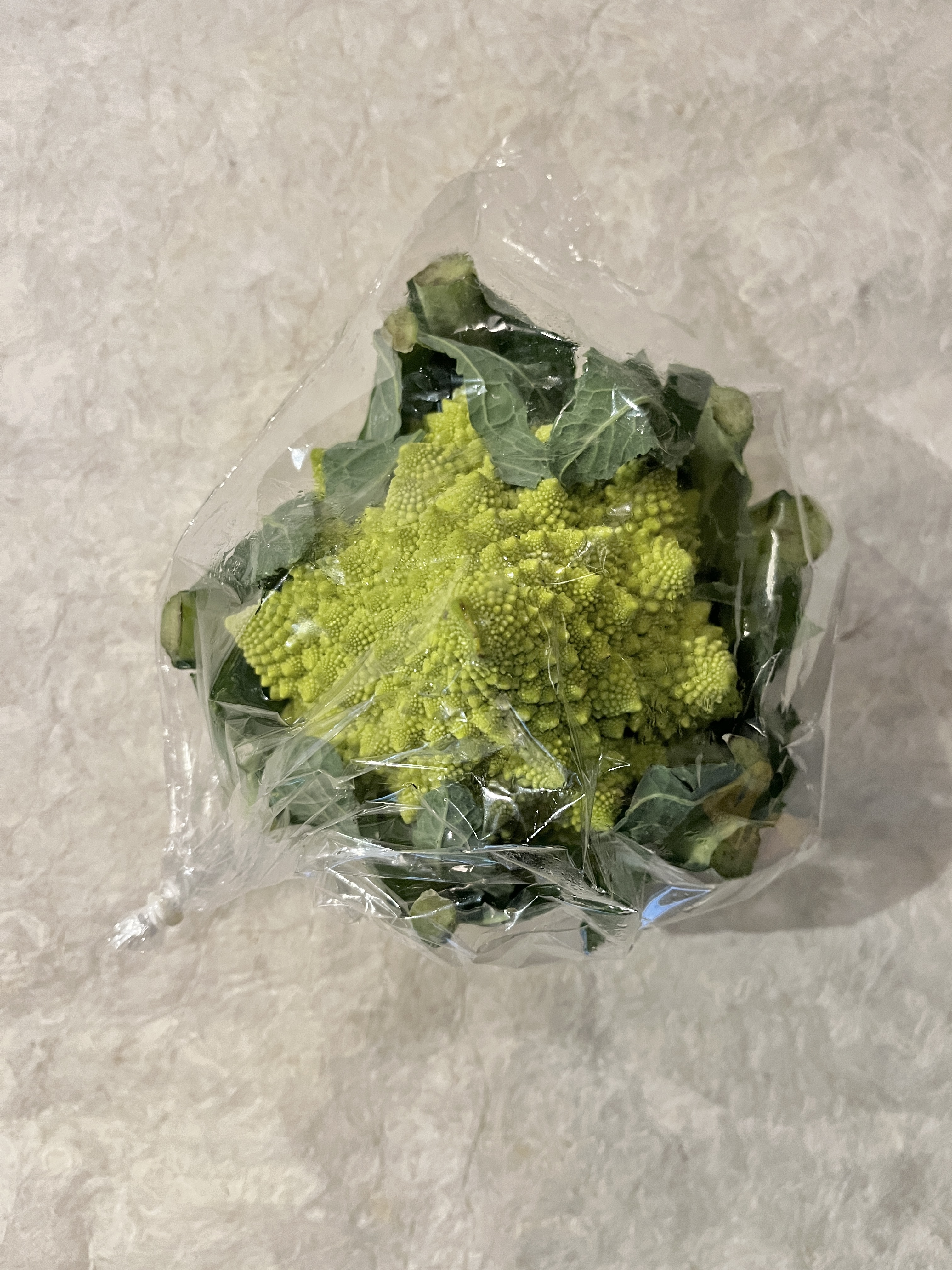 【冷蔵】埼玉ﾖﾛ研/ﾛﾏﾈｽｺﾀﾞｳﾞｨﾝﾁ M