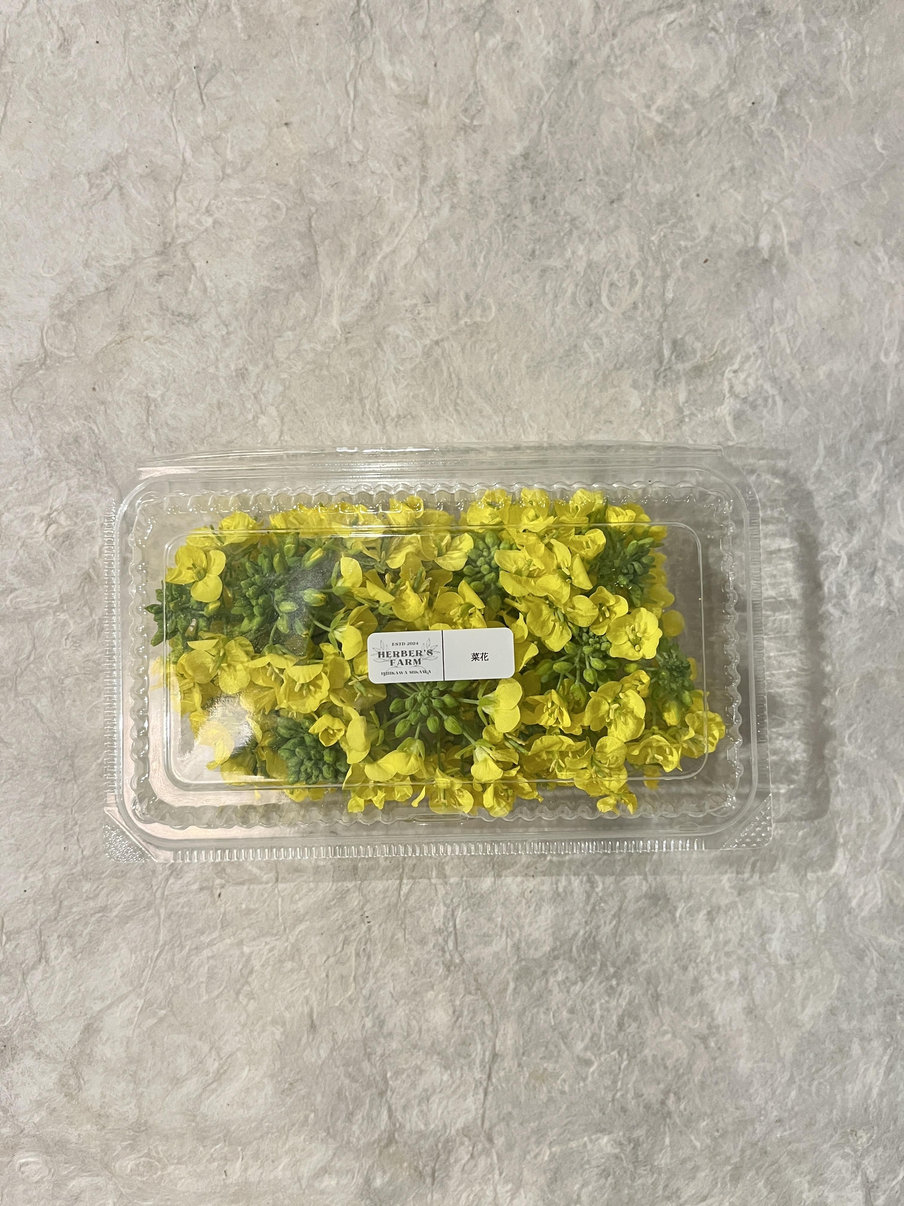 【冷蔵】HERBERSFARM/菜花 <予約品>