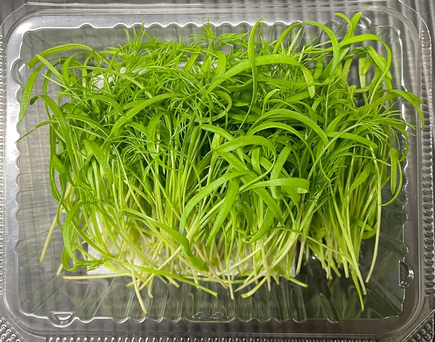 【冷蔵】HERBERSFARM/ﾌｪﾝﾈﾙ･ﾏｲｸﾛ