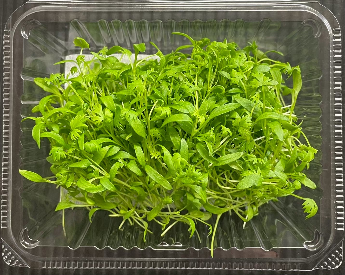 【冷蔵】HERBERSFARM/ｾﾘ･ﾏｲｸﾛ <予約品>