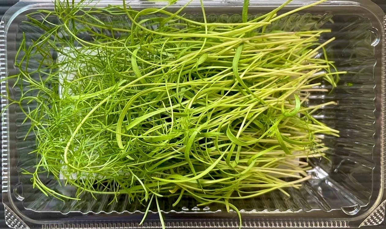 【冷蔵】HERBERSFARM/ﾌｪﾝﾈﾙ･ﾐﾆ <予約品>