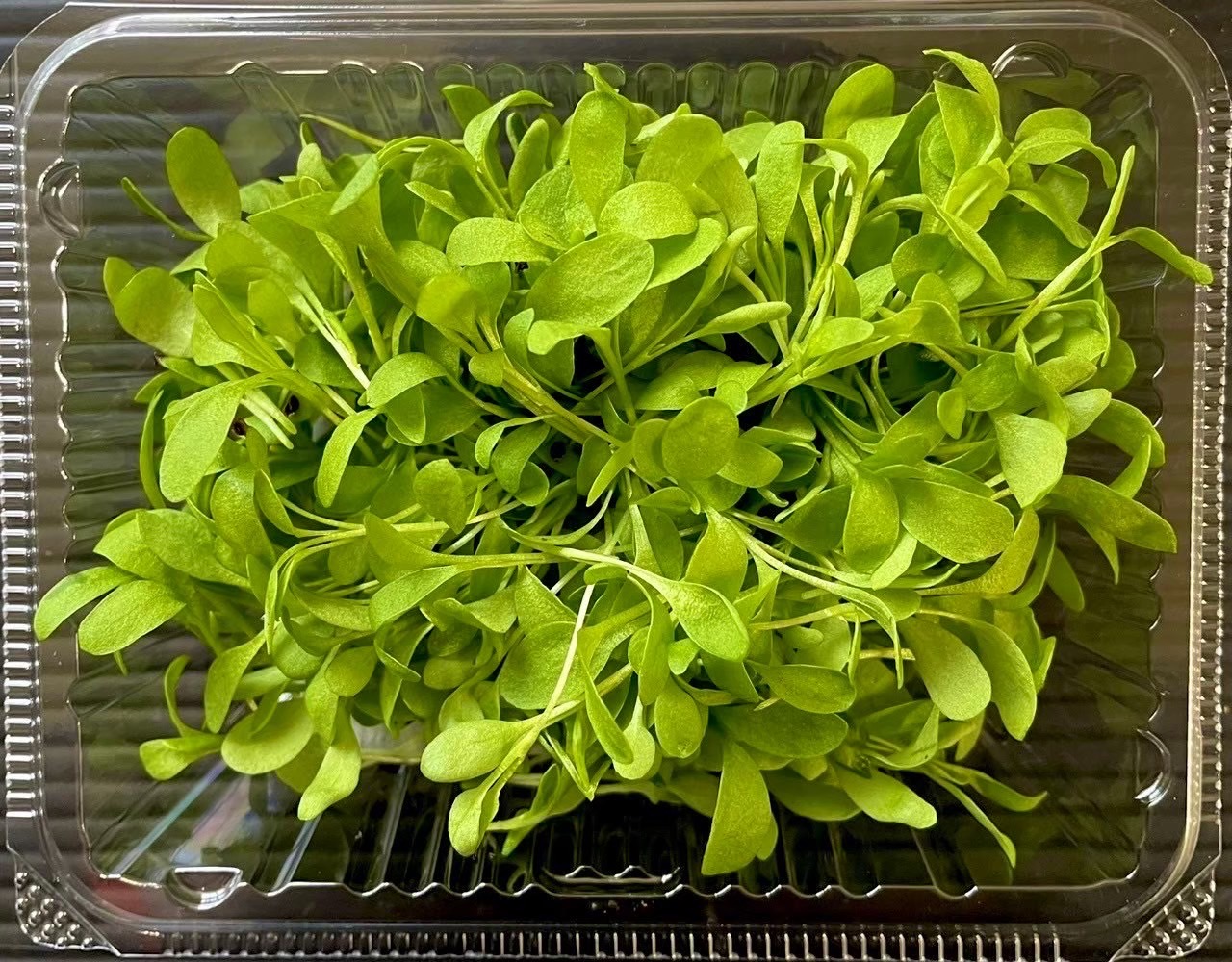【冷蔵】HERBERSFARM/ｸﾞﾘｰﾝｵｾﾞｲﾕ･ﾏｲｸﾛ <予約品>