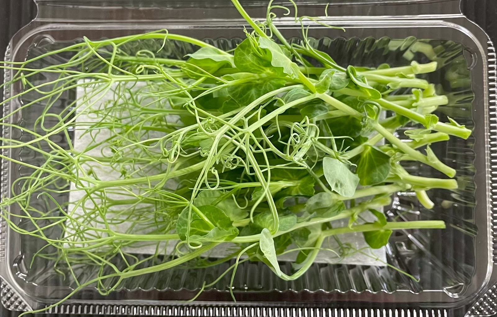 【冷蔵】HERBERSFARM/ﾋﾟｰﾃﾝﾄﾞﾘﾙ(大) <予約品>