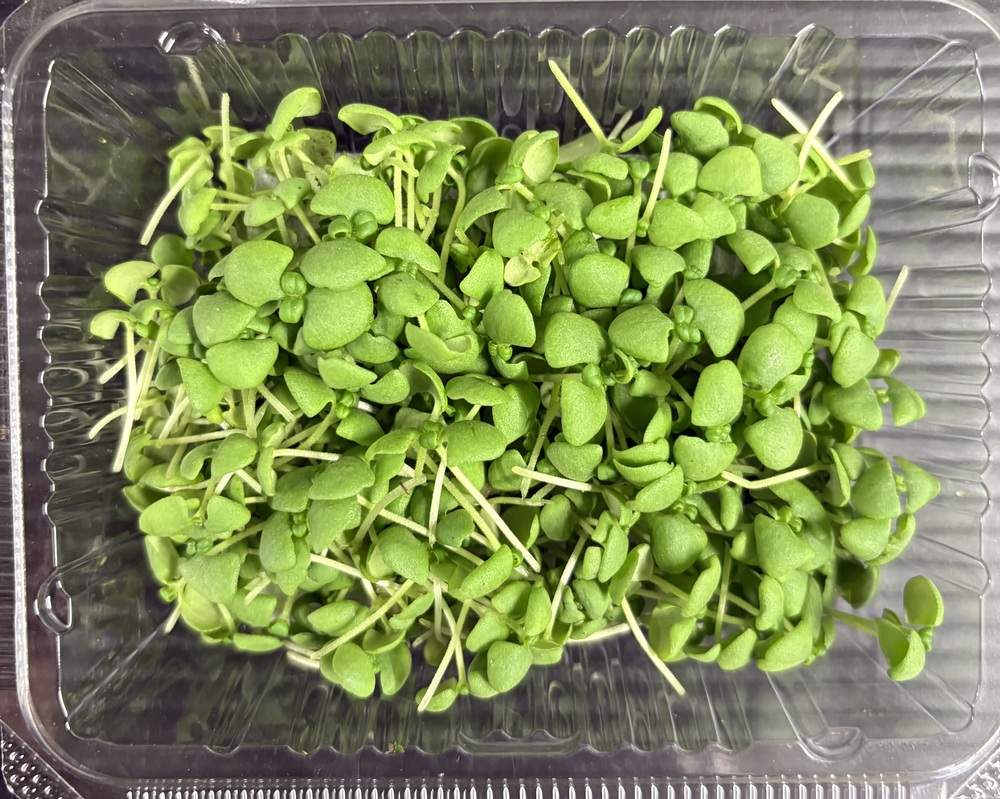 【冷蔵】HERBERSFARM/ﾚﾓﾝﾊﾞｼﾞﾙ(ﾏｲｸﾛ) <予約品>