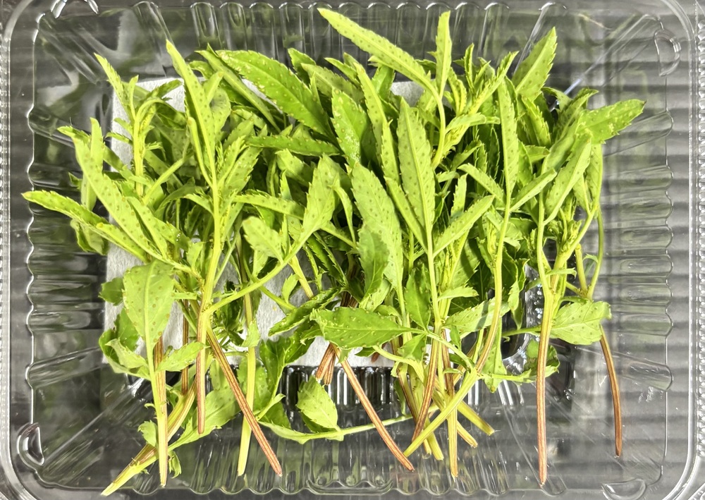 【冷蔵】HERBERSFARM/ﾚﾓﾝﾏﾘｰｺﾞｰﾙﾄﾞ(葉)<予約品>