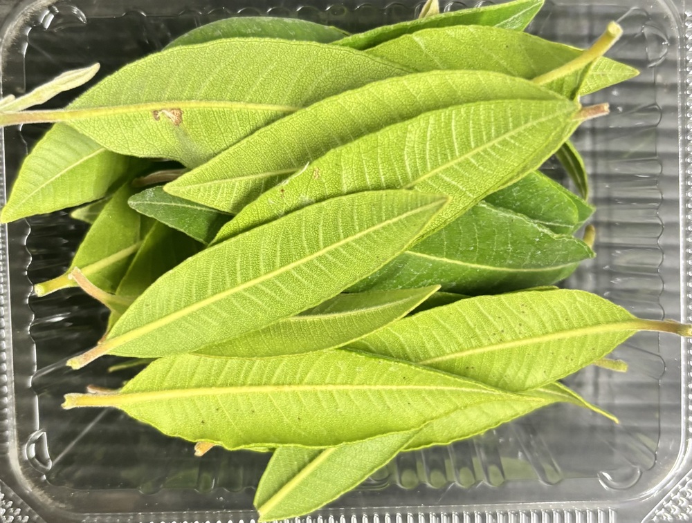 【冷蔵】HERBERSFARM/ﾚﾓﾝﾏｰﾄﾙ <予約品>