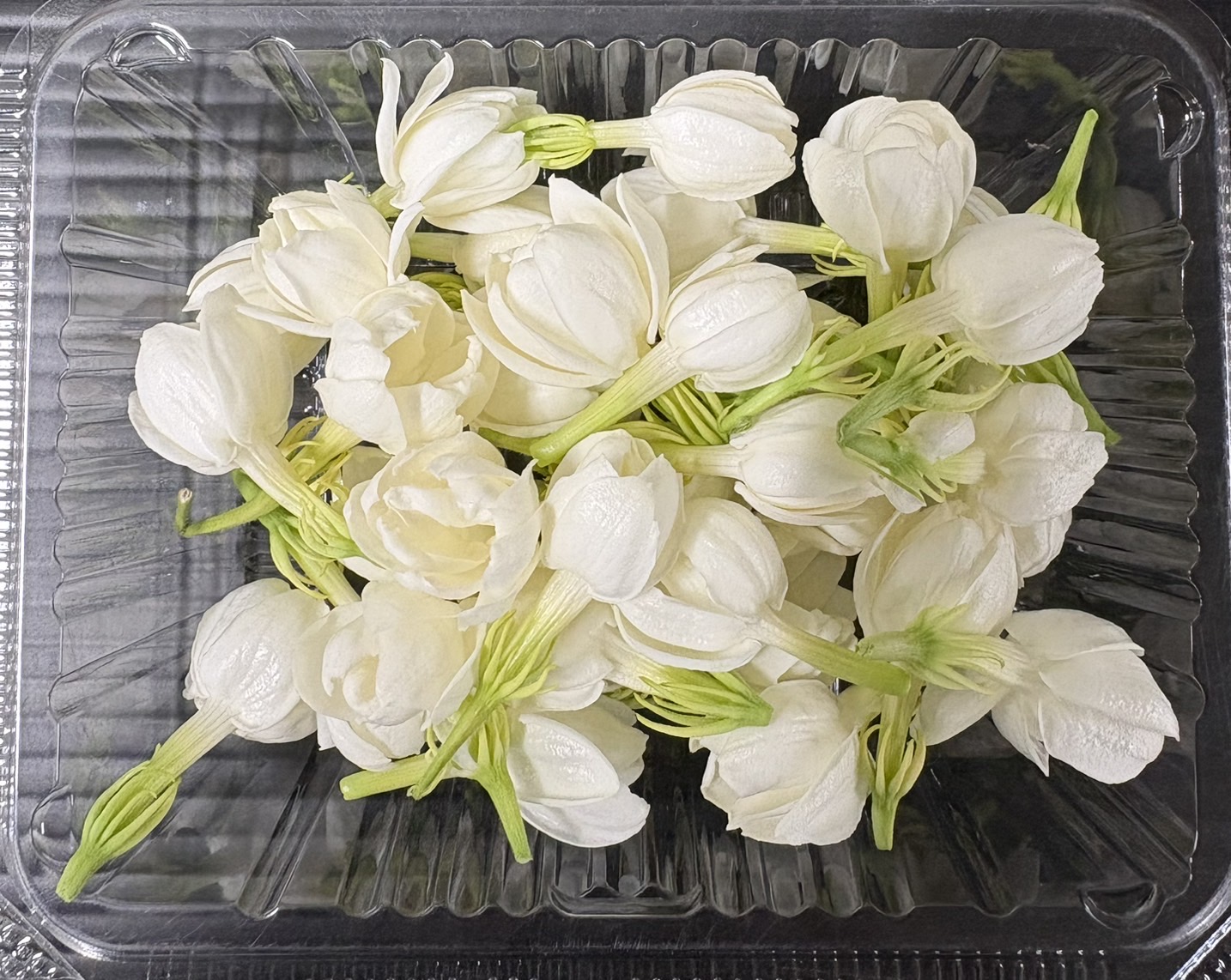 【冷蔵】HERBERSFARM/ｼﾞｬｽﾐﾝ(茉莉花)
