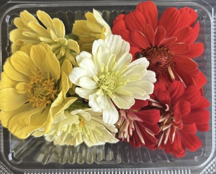 【冷蔵】HERBERSFARM/ｼﾞﾆｱ <予約品>