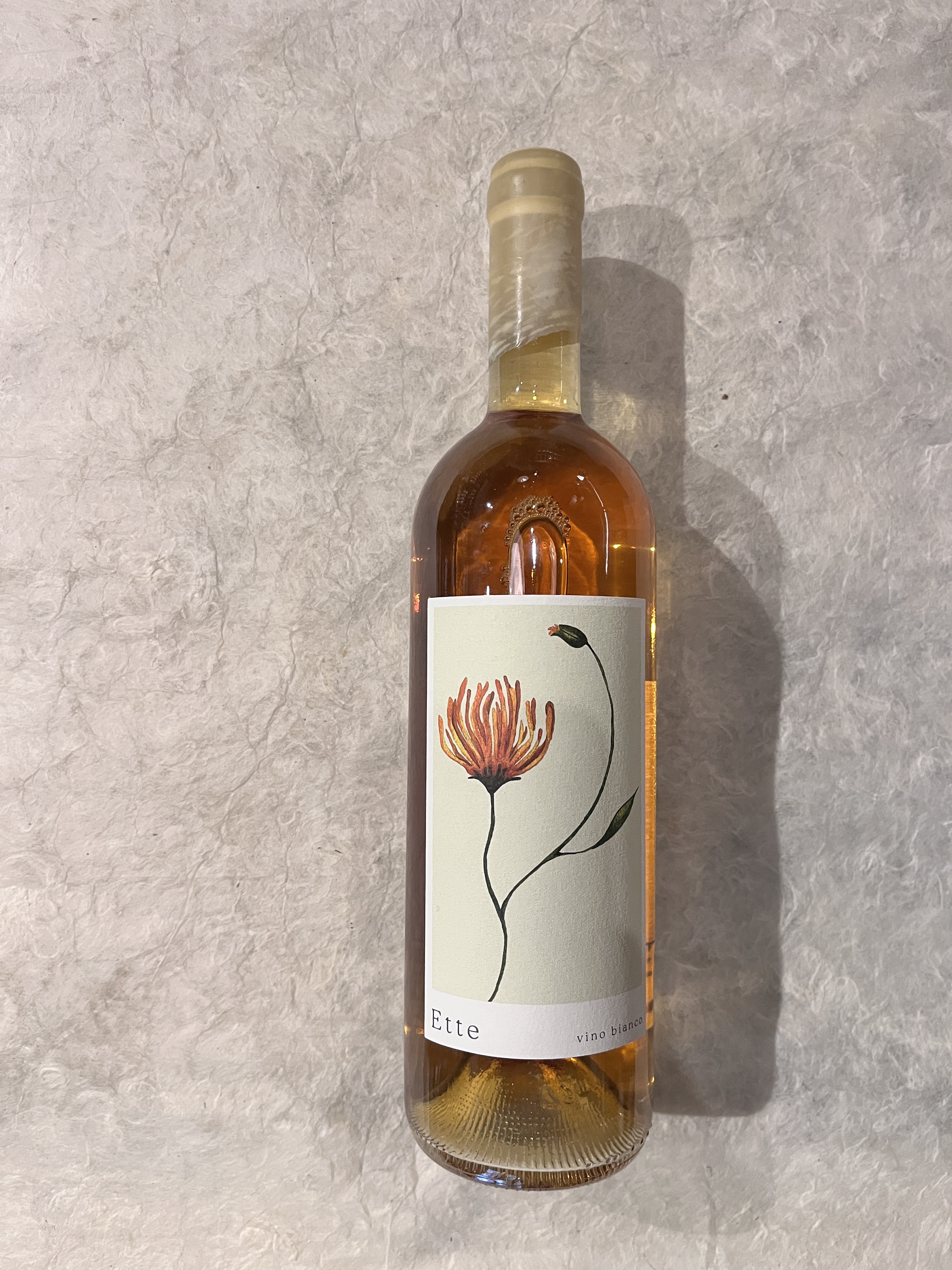 【酒】ｻﾏｰ･ｳﾙﾌ/ｴｯﾃ 2023